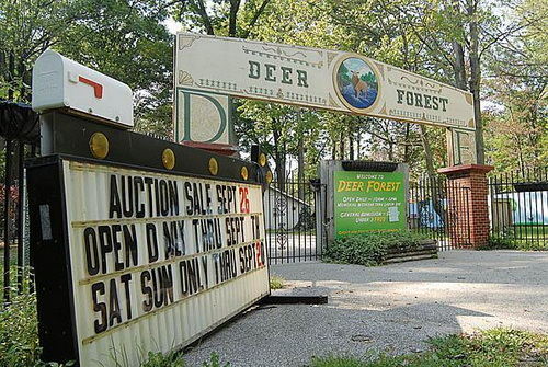 Deer Forest Fun Park - PHOTOS FROM OLD PARK WEBSITE